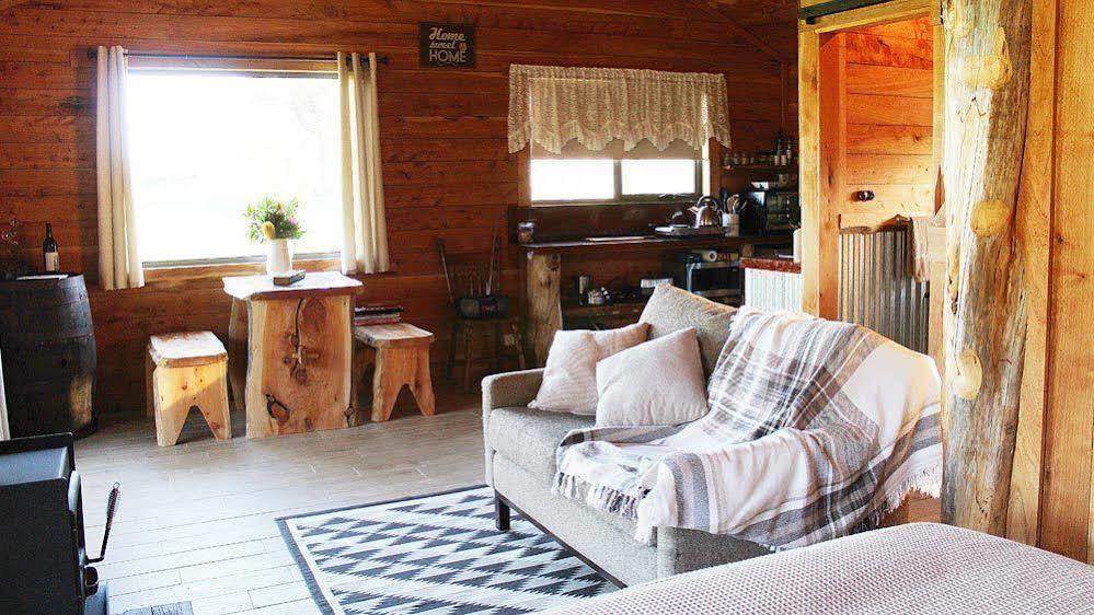 Bed and Breakfast Rustic Hut Bush Retreat Penguin Esterno foto