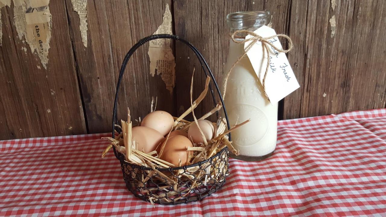 Bed and Breakfast Rustic Hut Bush Retreat Penguin Esterno foto