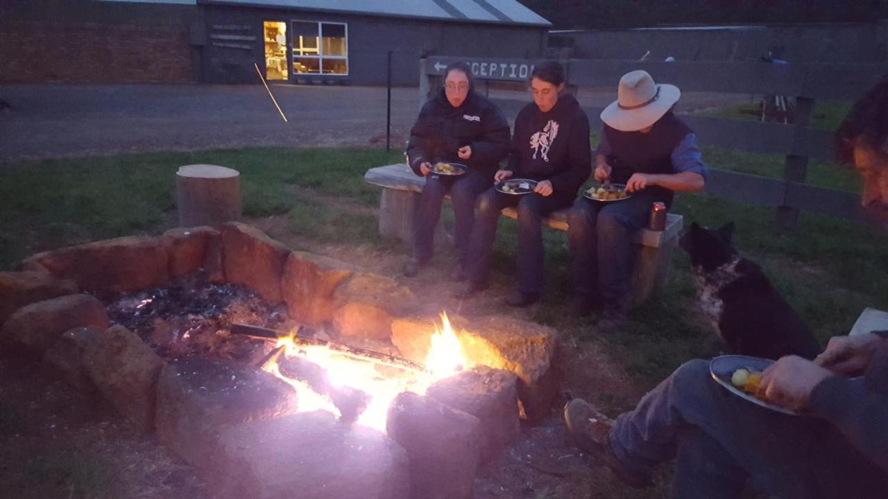 Bed and Breakfast Rustic Hut Bush Retreat Penguin Esterno foto